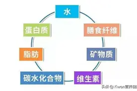 人体都需要哪些营养素？图片
