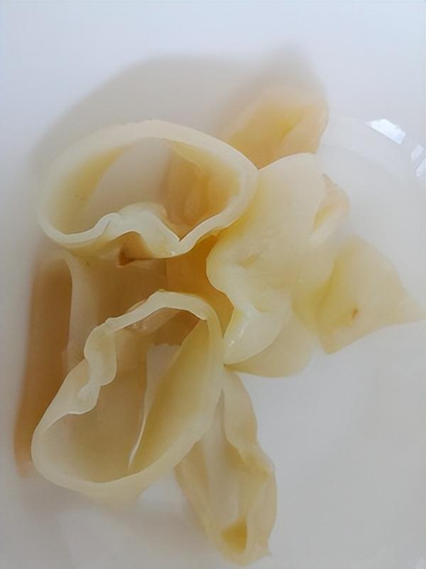 红菇炖花胶鸡 2026年红菇炖花胶鸡汤的做法 红菇炖花胶鸡 2026年红菇炖花胶鸡汤的做法