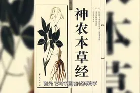 中药学的百科全书——《神农氏本草经》图片