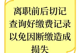 离职前后要查好自己的参保缴费记录，以免给退休带来麻烦和损失图片