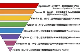 那些感染过人类的冠状病毒，最后都去哪儿了？图片