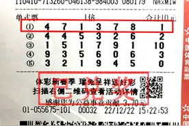 机选10元单式票 喜中7星彩二等奖20万元图片