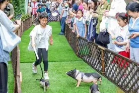 “小猪佩奇”来啦！虹桥南丰城开启新一轮活动图片