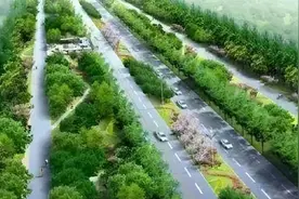 上海、南京、杭州、合肥、武汉、长沙等城市两侧分车绿带植物配置图片