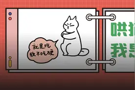 6个哄猫咪开心的小技巧，包教包会图片