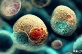 全球首创！科学家借助干细胞成功合成人类胚胎模型，无需依赖精子和卵子图片