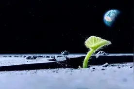 海口大美幕动文化传媒有限公司带你解析航天育种图片