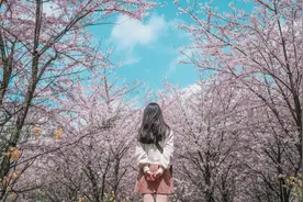大哥的选择6：事出有因，转角遇见他图片