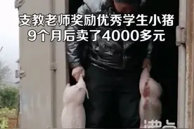 奖励优秀生的小猪9月后卖了4000元，网友：很实在的奖励图片