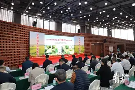江门20个镇（街）一把手登台打擂！抓党建促乡村振兴风采逐个看图片