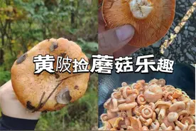 不要吃！不要捡！武汉近期随处可见！图片