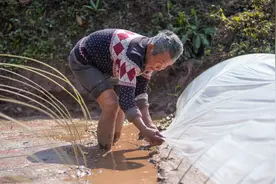 探访乡村留守老人：年近九十的刘昌贵夫妇，每天养猪种地忙个不停图片