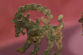 现场｜“关山戎马到江东”：苏博新展呈现百余战国西戎文物图片