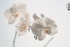 把话说好了，人生就顺了图片