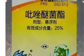还在单用吡唑醚菌酯？难怪效果不好！配上这几种杀菌剂，效果翻倍图片
