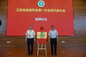 江苏省电源学会在南京成立图片