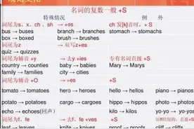 中小学英语语法之--名词单复数变化规则图片