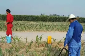 这是哪里的“体检医生”，每天工作中得走两万步？图片