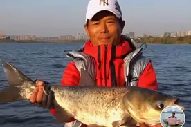 武汉天元再这样不合群，怕是要走下坡路了图片