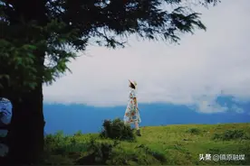 真正见过世面的人：姿态低，脾气小，心肠柔图片