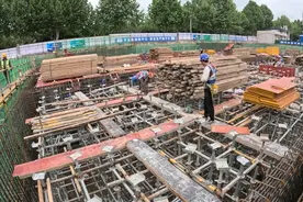 杨凌：以高质量项目建设激发农业新质生产力图片