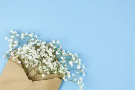 女人好不好撩，她的朋友圈就是答案图片