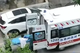 4岁男孩撑伞从26楼跳下！动画片的错？网友吵翻图片