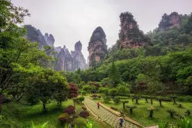 玩过3次张家界的人，今天来给大家送个攻略吧图片