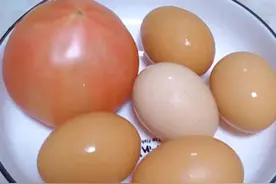 你必须了解的十大优质蛋白质排行，减肥最狠食物，能加速脂肪燃烧图片