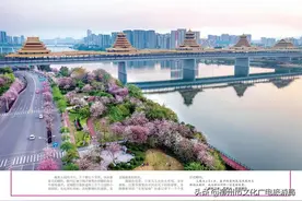 龙城紫荆香 风情韵味长｜柳州：线上线下活动多，多家媒体争相报道！图片