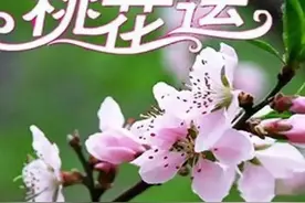 有些人老了还能交桃花运，咋回事？图片
