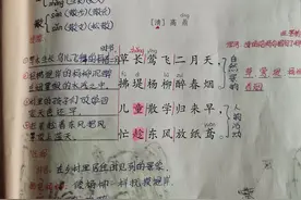 二年级下册语文 第一课 古诗二首《村居》《咏柳》笔记及相关资料图片