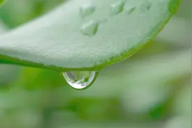 义务教育教师工资省级统筹条件已成熟，这样操作确保按时足额发放图片