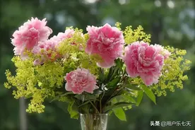 散文随笔 || 纪念我的恩师王素兰诞辰80周年图片