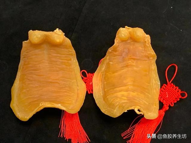 大口鳖花胶功效 2026年大口鳖花胶功效与禁忌 大口鳖花胶功效 2026年大口鳖花胶功效与禁忌