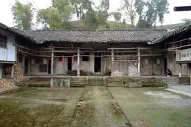 “三树院中栽，祸事天上来”，“三树”指啥？院中栽树有啥讲究？图片