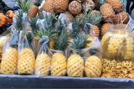 一株菠萝一生只能结一次果，46个月一个周期，为什么卖得却不贵？图片