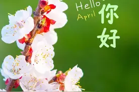 人间清醒的高级文案之四月图片