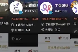 深夜突发！丁香医生被“一锅端”！背后资本、生意版图浮出水面图片
