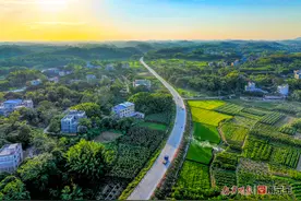 广西浦钦路建成通车，助力北部湾城市群建设图片
