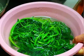 秋天遇到红薯叶别手软，农村遍地是，不花1分钱，多囤一些特解馋图片