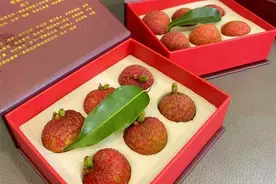 荔枝的“鄙视链”，妃子笑垫底，糯米糍排第4，还有论颗卖的高货图片
