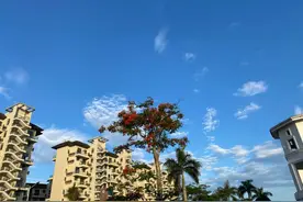 要管又不能管死，管而有为：优化预售资金监管势在必行图片