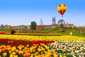 百万花海绽放，花博汇最美季节来临！图片