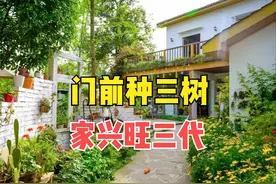 俗语“门前种三树，家兴旺三代”，指哪3种树？旺三代可信吗？图片