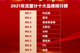 2021年流量计十大品牌最新排名，国产品牌占首位，你知道是哪个吗图片