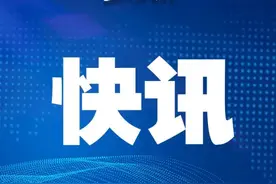 63号公告落实不到位！哈尔滨首批305个市场主体被责令停业整顿图片