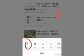 一招查看微头条是否被限流图片