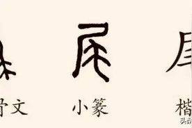 “尾巴”，标准普通话应该读“wěi·ba”还是“yǐ·ba”图片