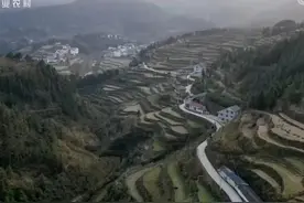 贵州女子承包500亩土地，如今土地变成聚宝盆，年销售额1700万图片